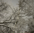 t55V3k-_qHSr3bIW97IhPLmK0R7-tWci5CoAOdGuNoOSKaqCq4wdKAeExJolF6W-7k-hYlyi0-9WYlyXxbaTtueV - Рязанские ведомости