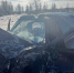 935bd6a5-06ec-4eef-996f-fbb998c6f1c9 - Рязанские ведомости