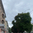 «Приехать можно, но удивляться нечему»: рязанцы скептически оценили туристический рейтинг региона - ProGorod62.Ru