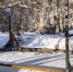 img - ЛДПР