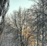 photo_2026-02-05_18-51-57 - Рязанские ведомости