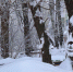 vA2G3IXCOgLgMnuIUq_MNL3PC9KL-UOp-8qLzfJ4g5v7net2qaKgKMJgPhgb3VN0xnTVWOTErNYlXbZPCuS--oIM - Рязанские ведомости