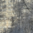 photo_2026-02-18_11-35-41 - Рязанские ведомости