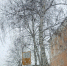 img - ТКР