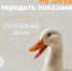 Рязанцам напомнили о необходимости передать показания счётчиков - ИА МедиаРязань
