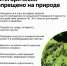 С 15 марта по 30 сентября в России пройдет Федеральная информационная противопожарная кампания «Останови огонь!» - Управление культуры