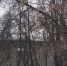 Серьезная опасность нависла над головами рязанцев - ИА Малая Родина