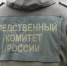 Бастрыкину доложат о расследовании дела о травмировании рязанки льдом с крыши - ИА МедиаРязань