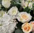Ybi9Yn6luskedzmEGqHQPGsOqbOTgWEvbjKrzU2xDcX_YXvEZGh7_Ei1_YPpqxEPSw60Yu8xkKisEuc8N78v4rvN - Рязанские ведомости