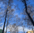 KC7HBXP1DBhGBGJbhuPPRjX-ji3taDAEP_1RPSYLpYnxZZ-sMWUUSRGsv4Xil5h6QbgZRZ1c_e8Uwg_cXVmHzRrd - Рязанские ведомости