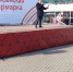 IMG_20260317_133336 - Рязанские ведомости