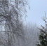 TWvyFCFzWydPXXA_GGD-aoJeUytVqqtMixWDpN_RGnQckRglSFRWaFJomZR9sTdit52Uvm0rhzpJ4eQW7b6mg1Cg - Рязанские ведомости