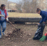 В Рязани стартует месячник по благоустройству - ИА Малая Родина