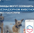 Рязанцы могут сообщать о безнадзорных животных онлайн - ИА МедиаРязань