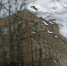 img - ТКР