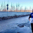 img - ЛДПР