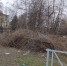 В Рязани образуются стихийные свалки - ИА Малая Родина