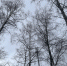 ZMO5Bqa2osgSNVOikIl2kdBcfILkkxwGtyNH-fu8mgXwp-b4YHEHCGugb5QwpKB8rBJ5CT1Jz7BQ-ZXwGz5FYp6t - Рязанские ведомости
