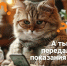 «Р-Энергия» напоминает рязанцам о необходимости передать показания счётчиков - ИА МедиаРязань
