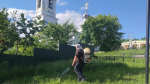 В Касимовском округе борются с борщевиком