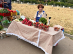 В Рязани на ярмарках выходного дня продали 2 800 килограммов клубники