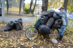 Растительный мусор с огородов запрещено выбрасывать в баки для ТКО: куда рязанцам девать ботву и ветки осенью