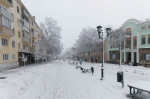 Снег в Рязани (1)